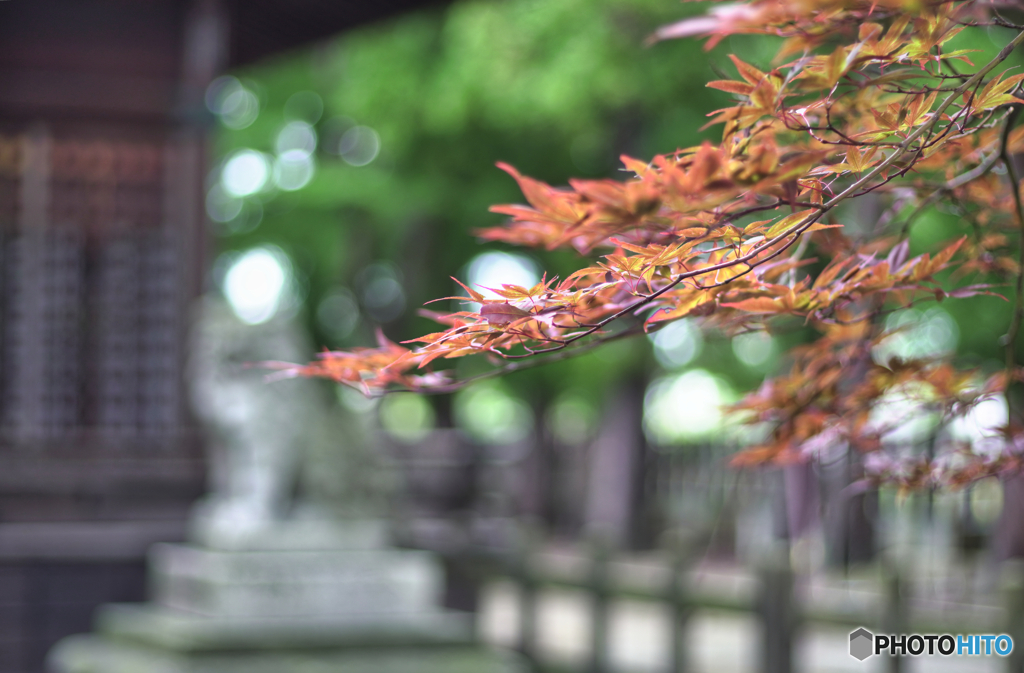 2022-08-27_上杉神社
