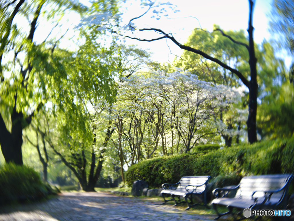 2022-04-22_宇都宮中央公園-3