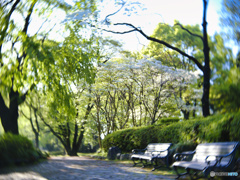 2022-04-22_宇都宮中央公園-3