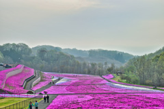 2025-04-19_市貝町芝ざくら公園-3