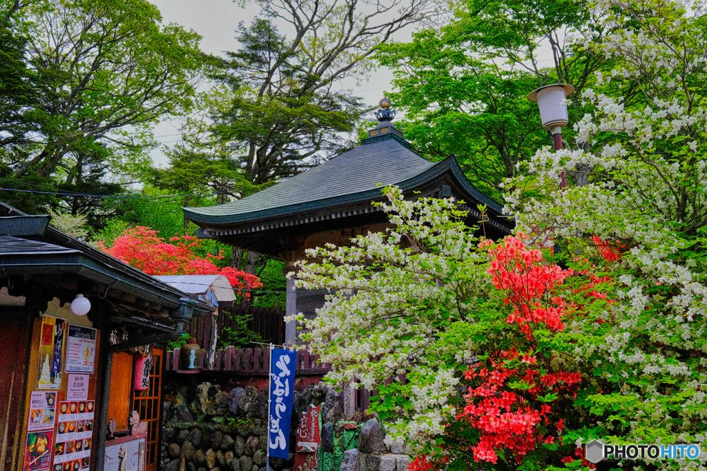 2021-06-06_龍頭ノ滝-4