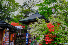 2021-06-06_龍頭ノ滝-4