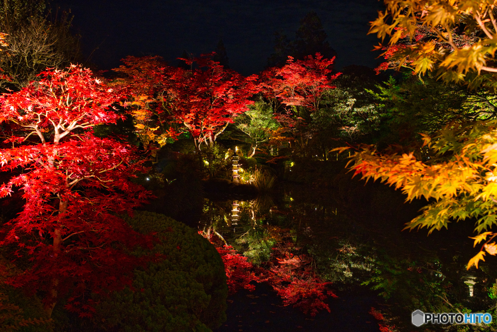 2020-11-06_逍遥園(7)