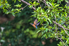 2023-06-24_栃木県井頭公園-1
