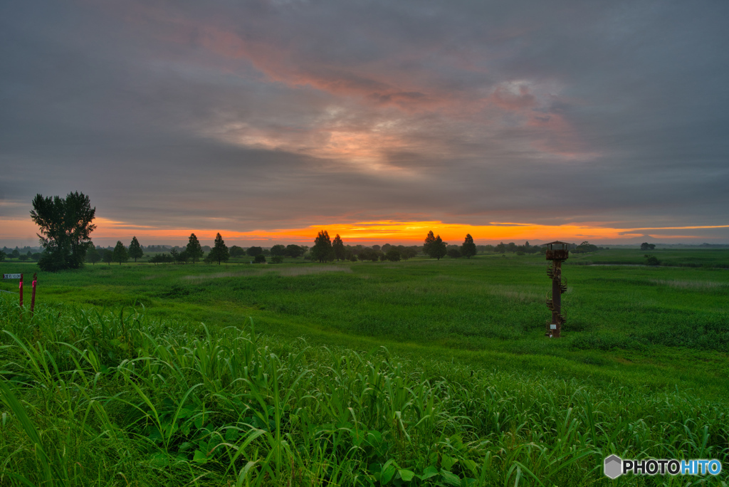 2020-06_渡良瀬遊水地(3)