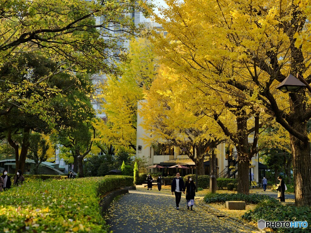 2021-12-04_東京都立日比谷公園-1