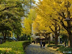 2021-12-04_東京都立日比谷公園-1