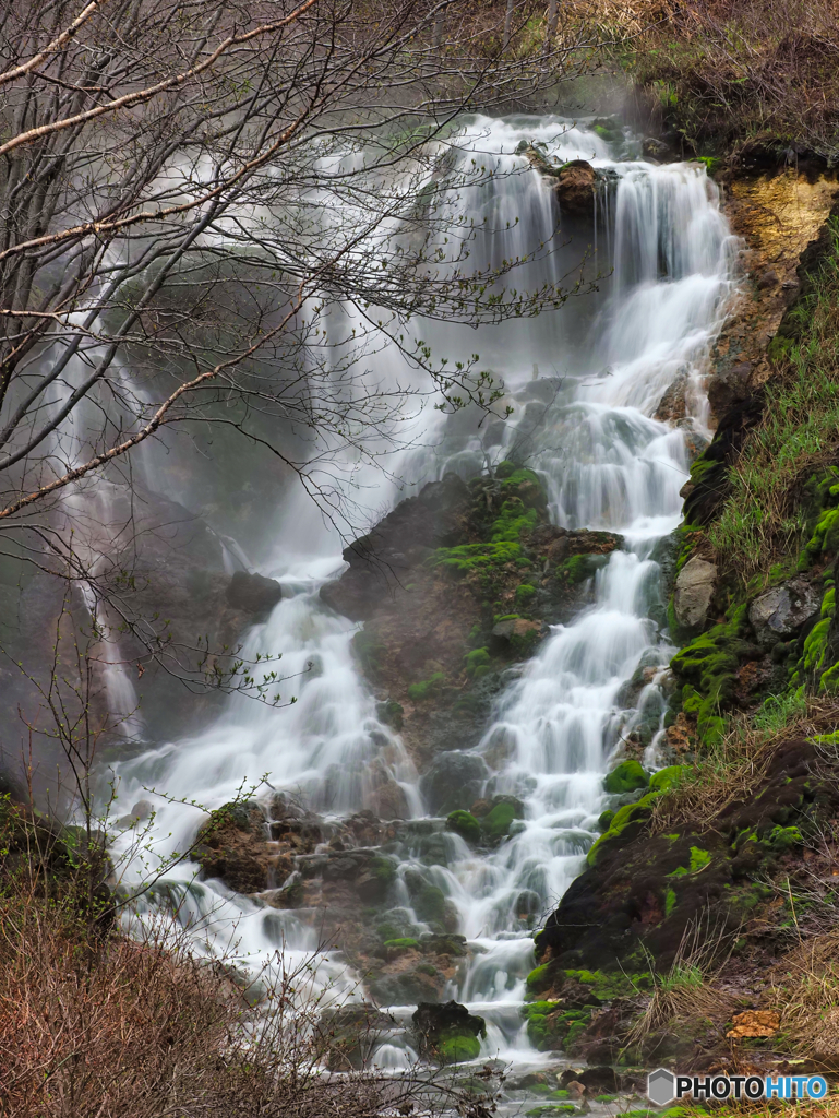 2022-04-29_チャツボミゴケ公園-1