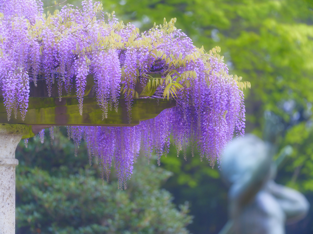 2023-04-19_栃木県 中央公園-1