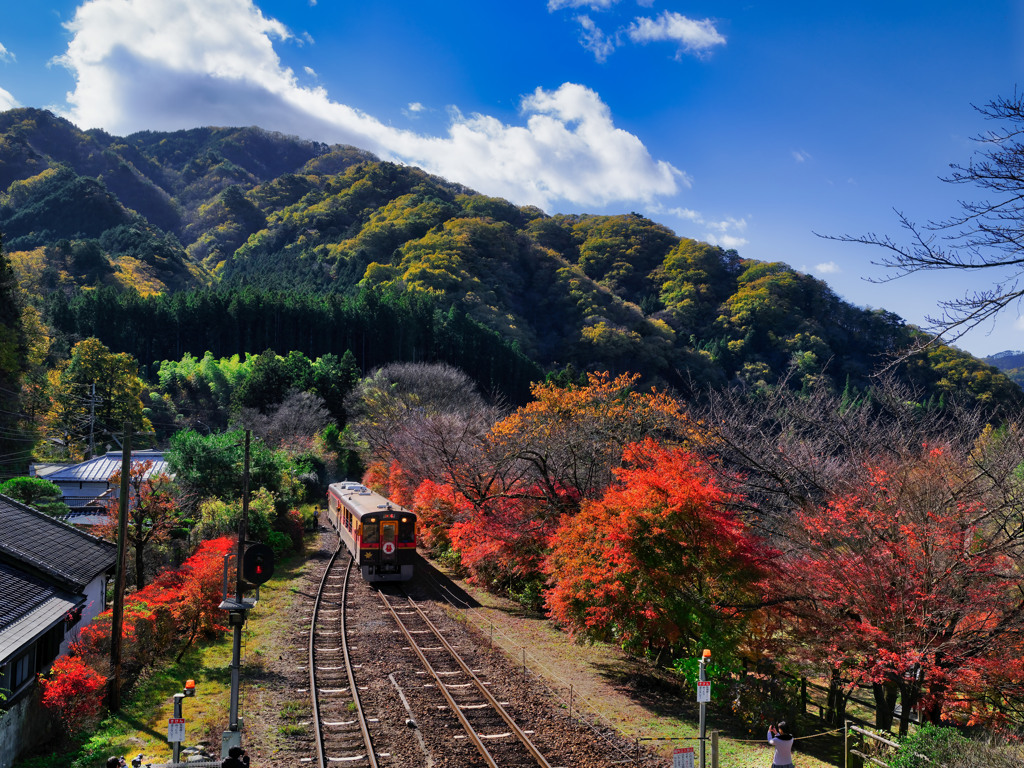 2023-11-19_わたらせ渓谷鐵道(沢入駅)-1