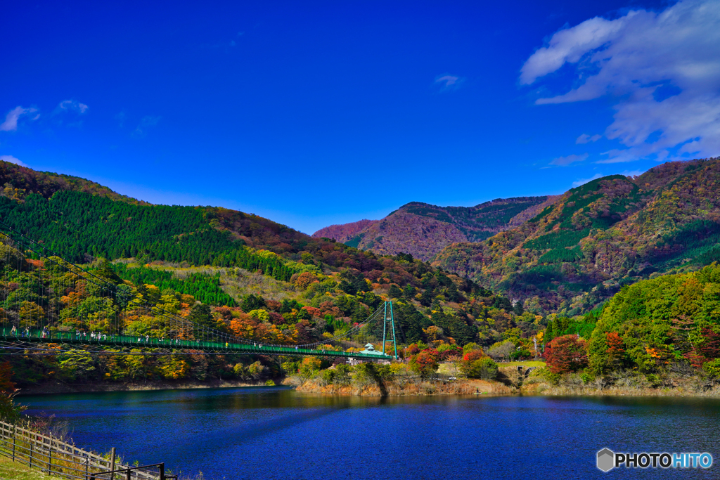 2020-11-03_もみじ谷大吊橋(1)
