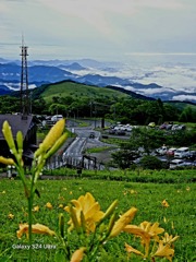 2024-06-29_霧降高原
