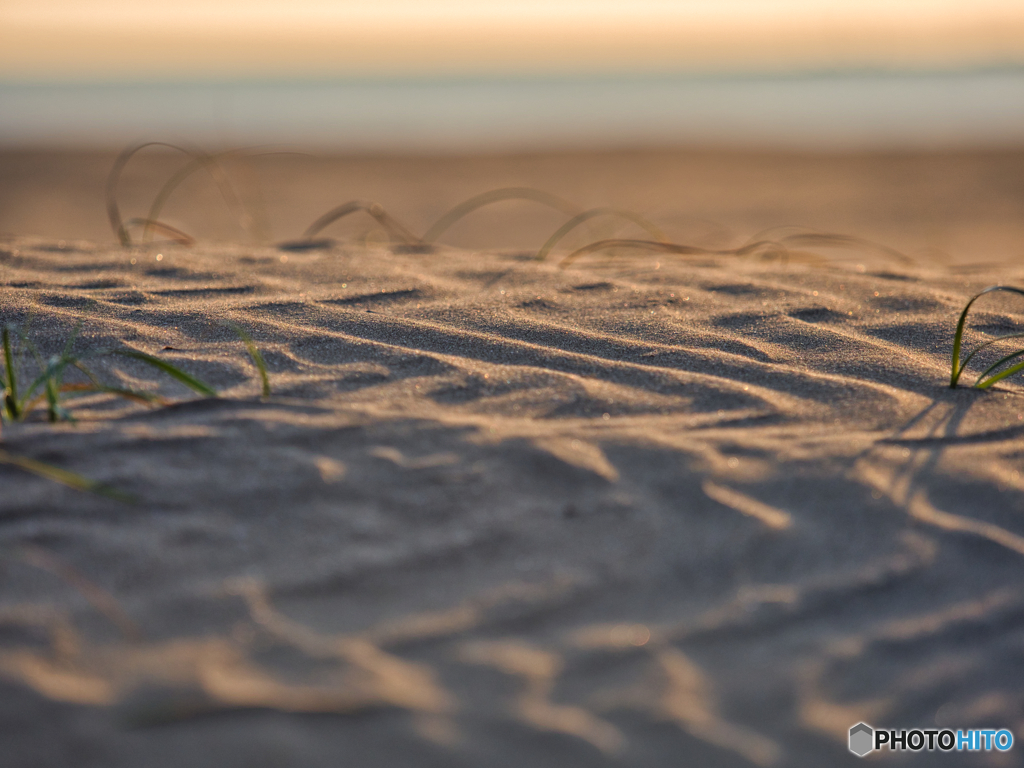 2020-12-13_大洗サンビーチ(2)