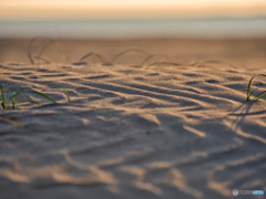 2020-12-13_大洗サンビーチ(2)