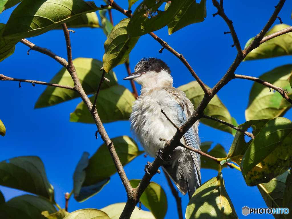 2022-09-11_栃木県 中央公園-1