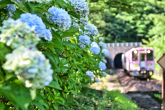 2024-08-03_大川ダム公園駅-1