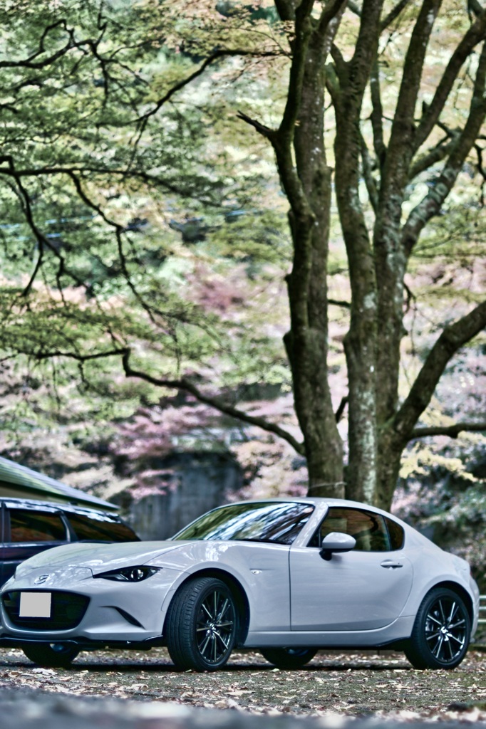 2025-11-16_蓬莱山-2