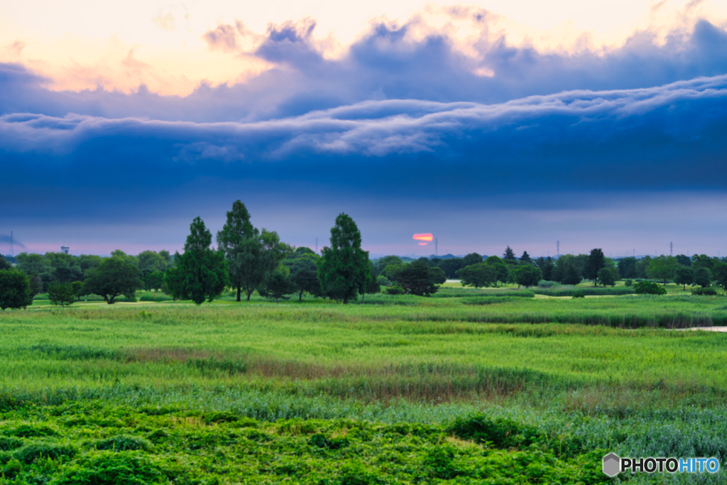 2020-06-29_渡良瀬遊水地