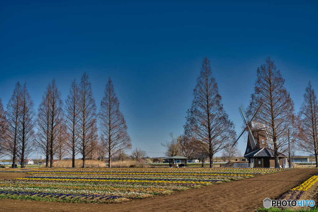 2021-02-23_あけぼの山農業公園(2)