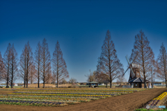 2021-02-23_あけぼの山農業公園(2)