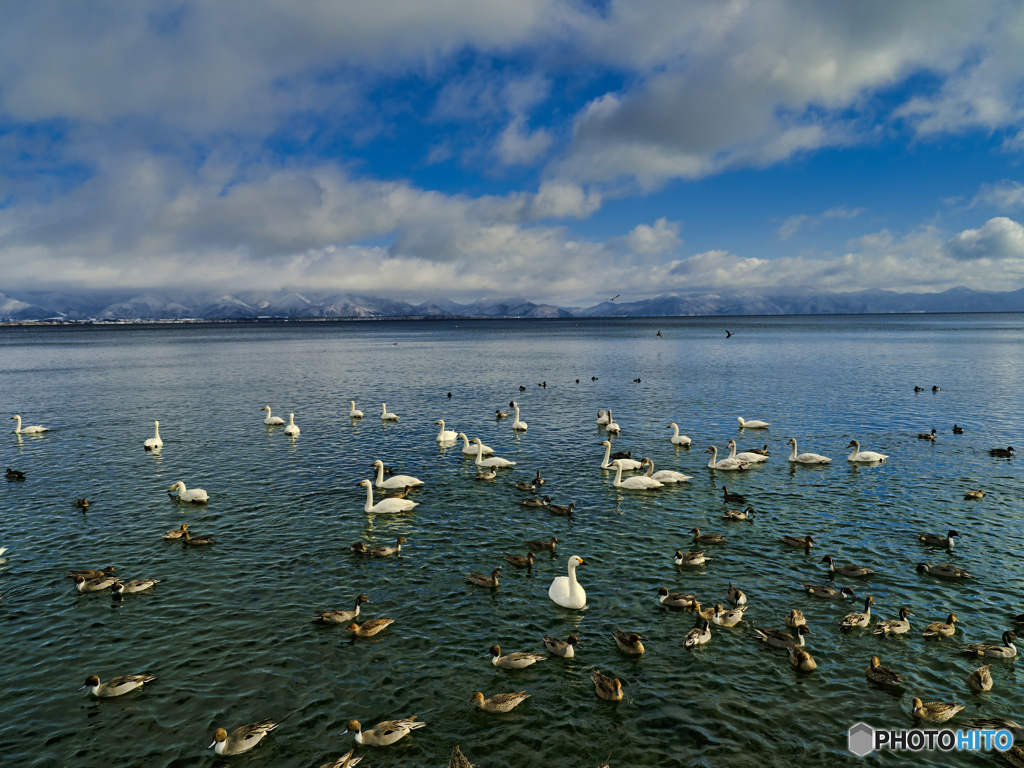 2022-01-03_猪苗代湖-1