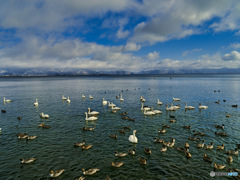 2022-01-03_猪苗代湖-1