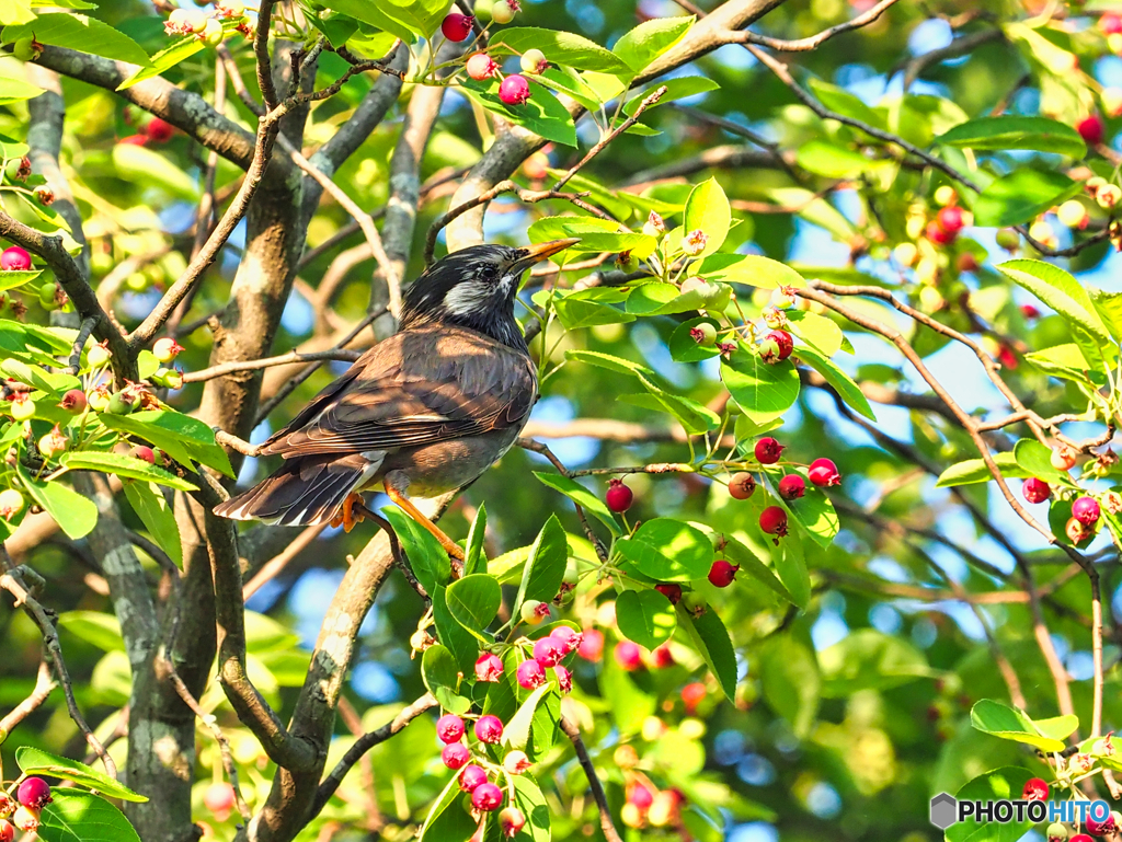 2021-05-25_公園散歩-1