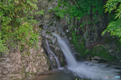 2020-06-20_花貫渓谷(1)