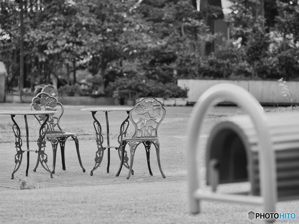 2021-06-08_朝散歩-9