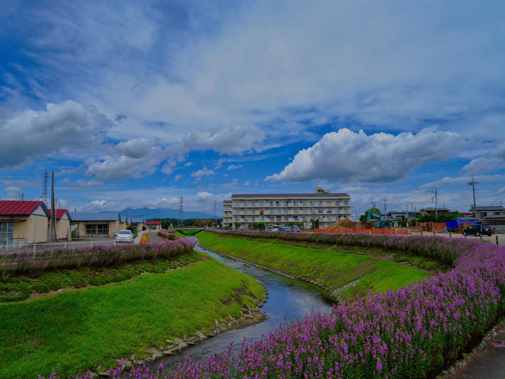 2021-08-11_みそはぎロード-2