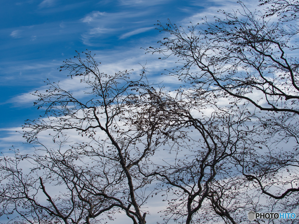 2020-11-29_駒止の滝駐車場