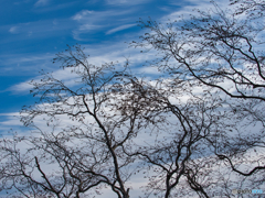 2020-11-29_駒止の滝駐車場