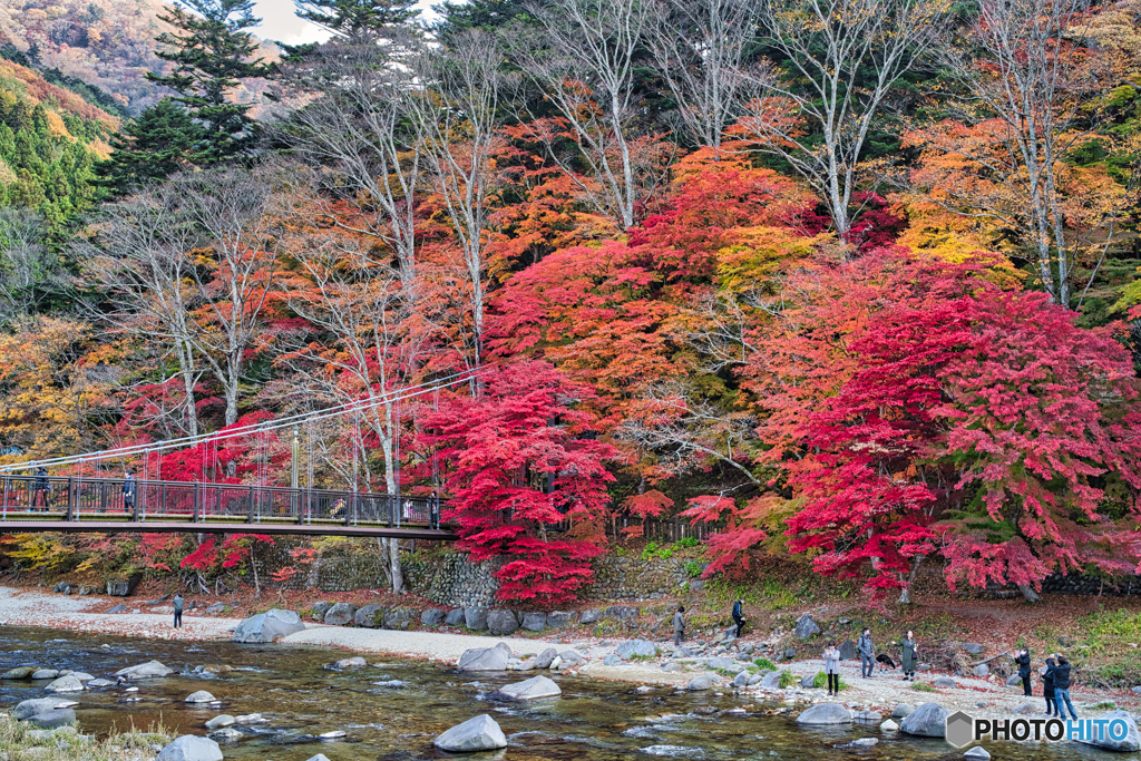 2020-11-08_虹の吊り橋(2)