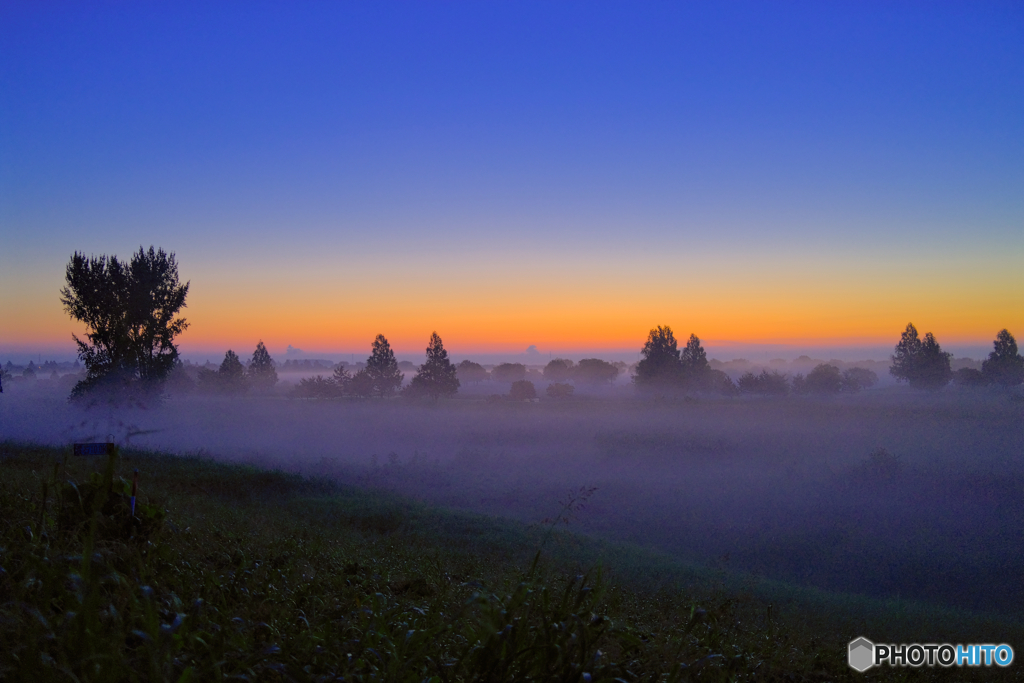 2021-07-17_渡良瀬遊水地-2