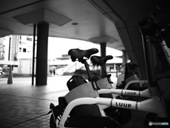 2023-03-29_スナップ-5