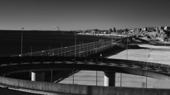 2025-02-09_浜の宮公園-1