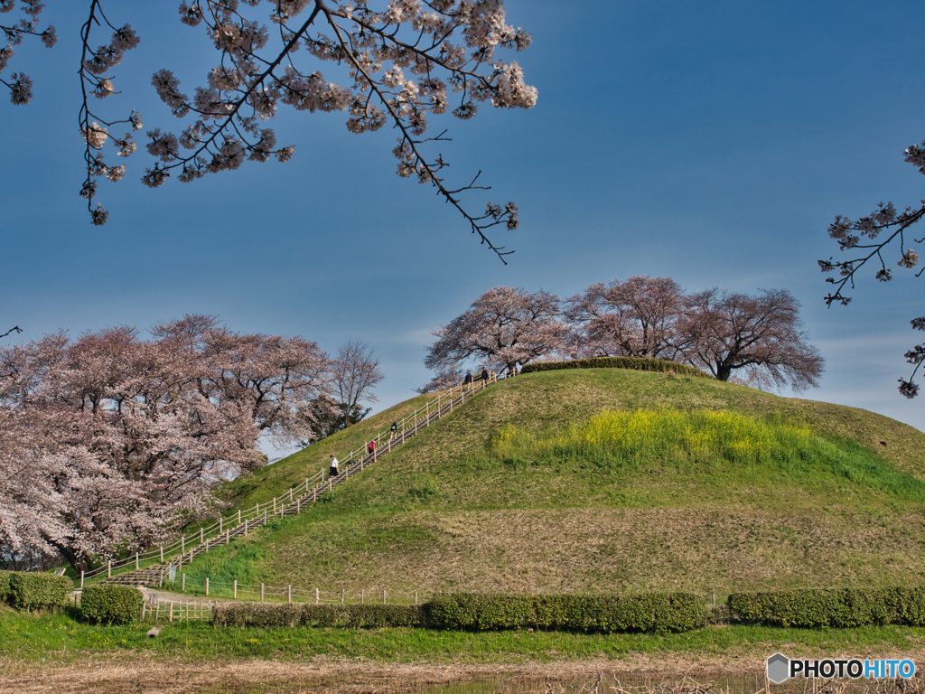 2021-03-27_丸墓山古墳(3)