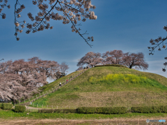 2021-03-27_丸墓山古墳(3)