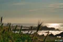 2020-06-20_平磯海岸(1)