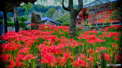 2021-09-17_常楽寺（録事尊）-1