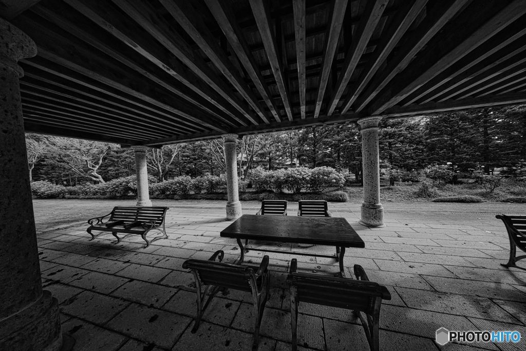 2021-06-21_栃木県中央公園-2