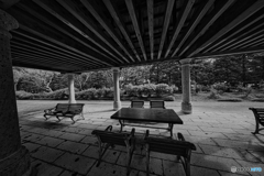 2021-06-21_栃木県中央公園-2