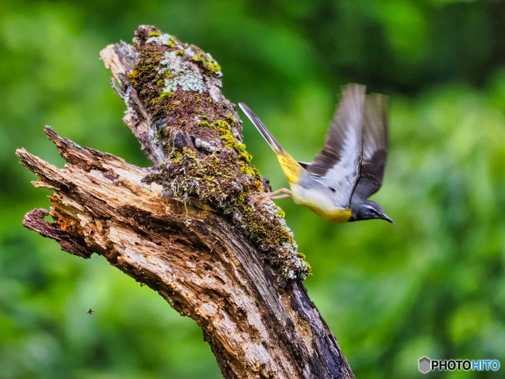 2021-07-04_湯西川ダム-2