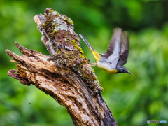 2021-07-04_湯西川ダム-2