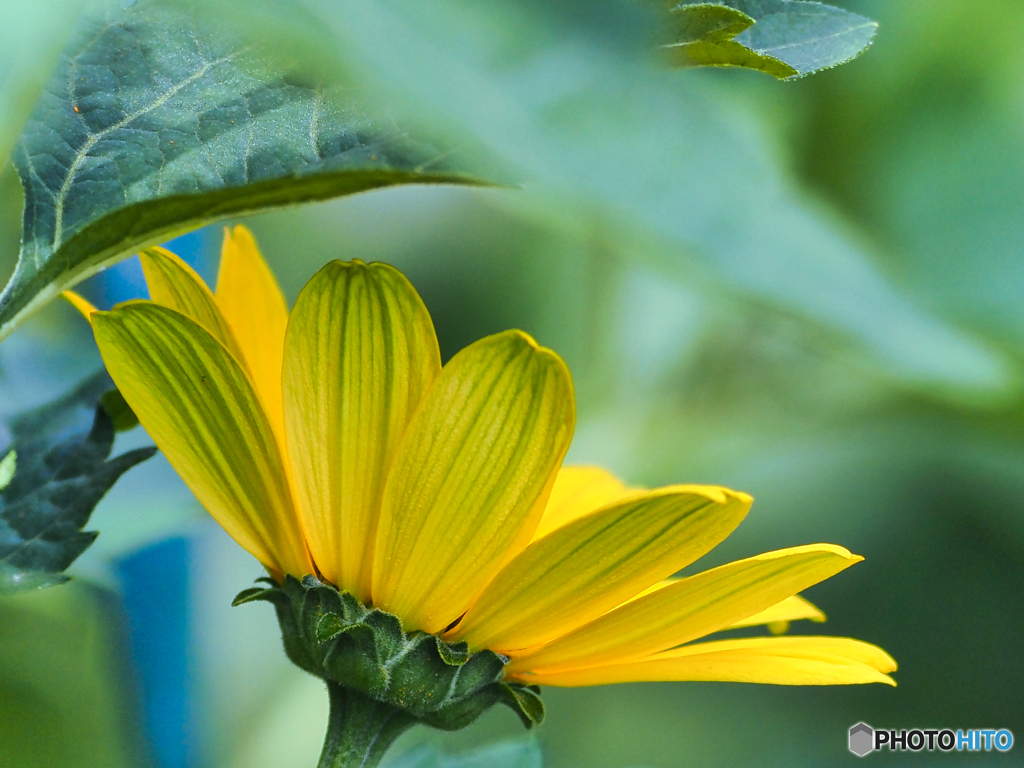 2021-07-10_近くの公園-5