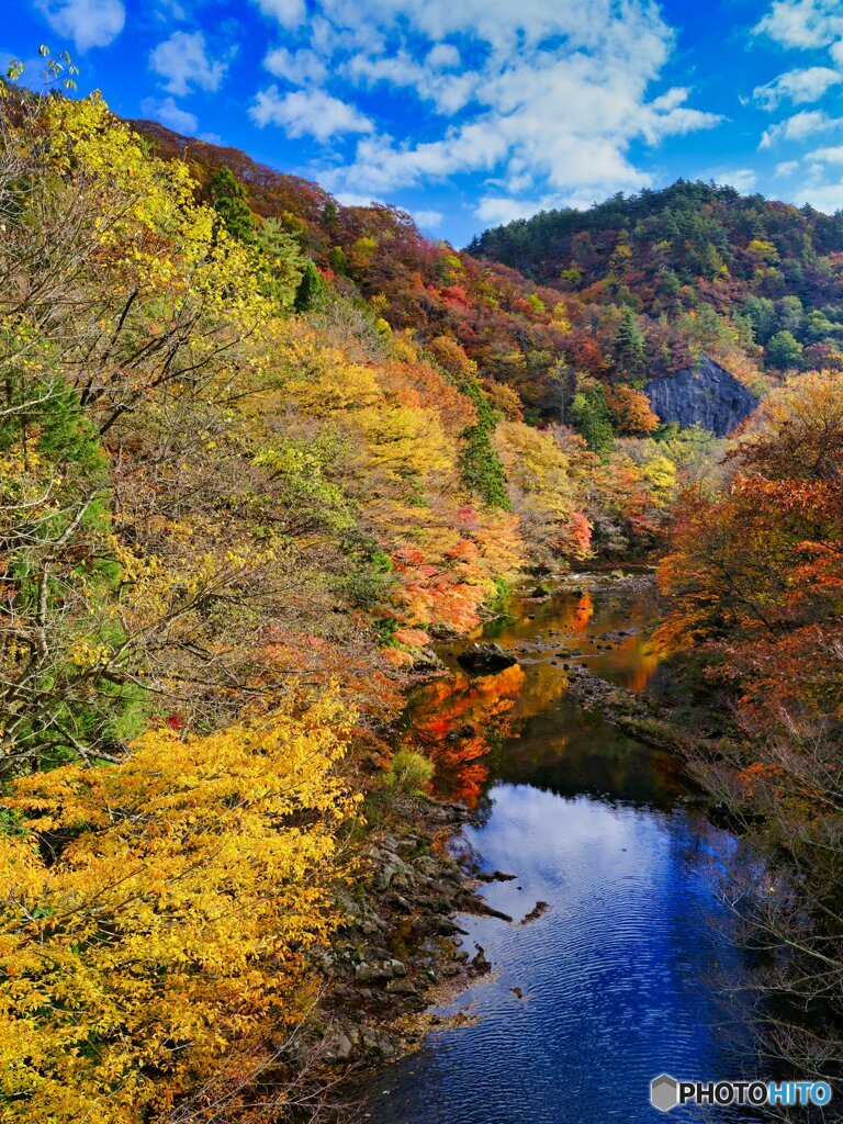 2021-10-29_奥入瀬渓流-8