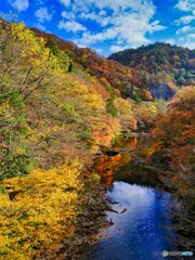 2021-10-29_奥入瀬渓流-8