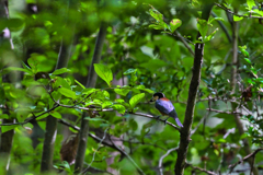 2023-09-02_栃木県井頭公園-1