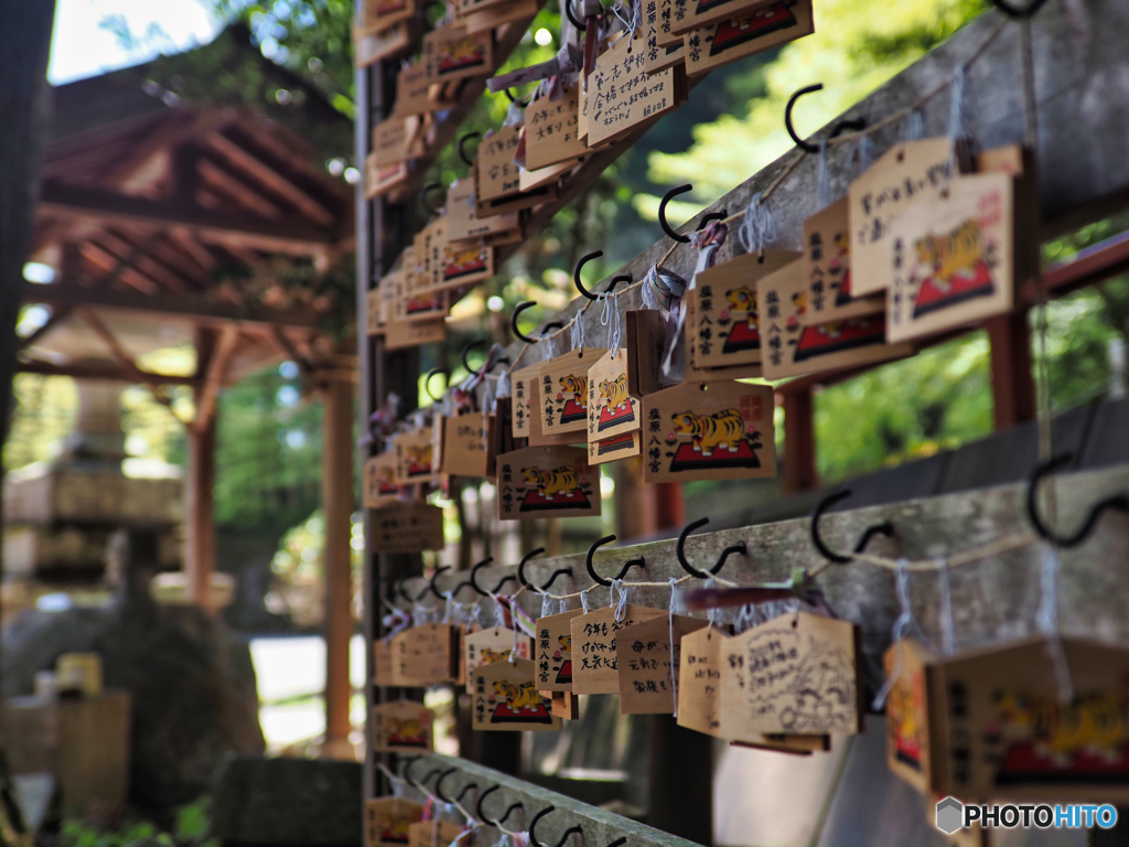 2022-05-02_塩原八幡宮-1