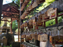 2022-05-02_塩原八幡宮-1
